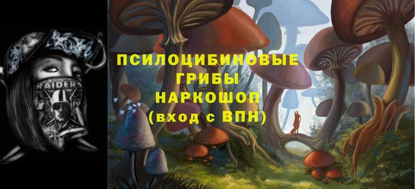 spice Балахна