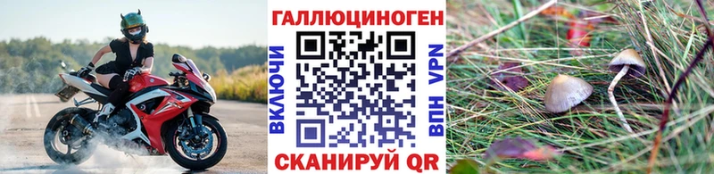 Псилоцибиновые грибы GOLDEN TEACHER  Озёрск 